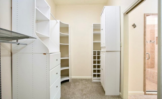 walk in closet with light colored carpet