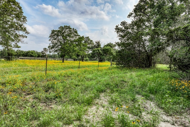 Listing photo 3 for TRACT4 Wildlife Cir, Carmine TX 78932