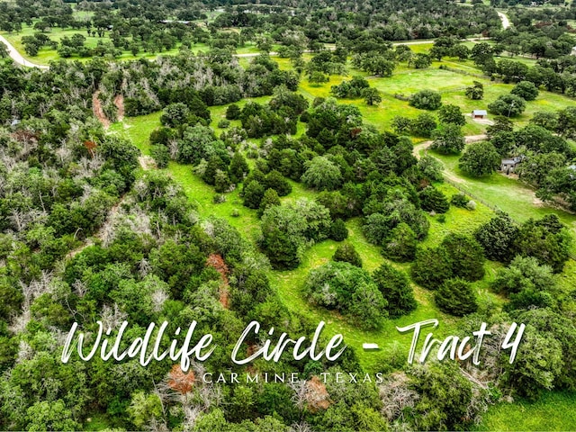 TRACT4 Wildlife Cir, Carmine TX, 78932 land for sale