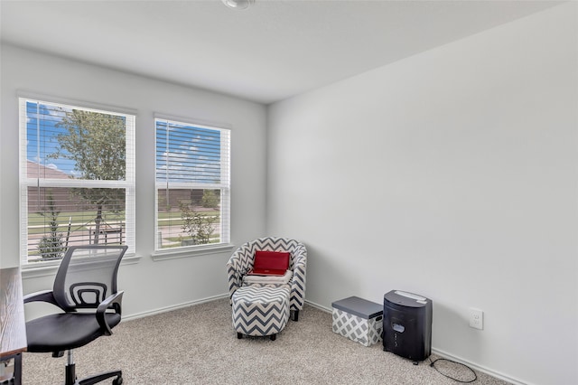 view of carpeted office