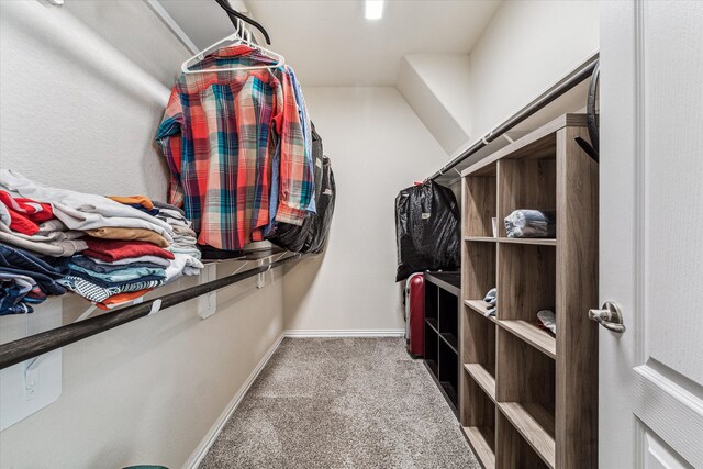 spacious closet featuring light colored carpet