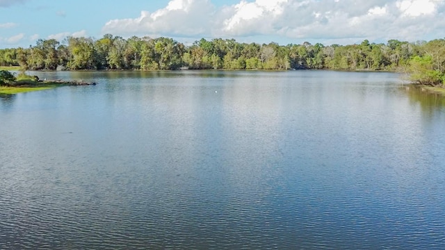 96 N Lakeside Dr, Huntsville, TX 77320 - water view featuring a forest