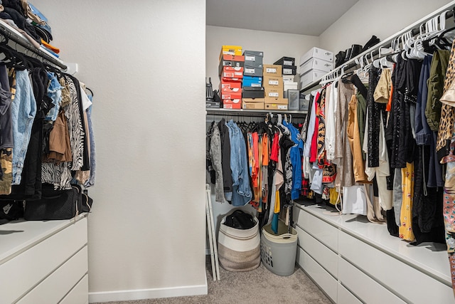 walk in closet with light colored carpet