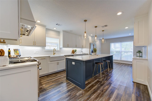 kitchen with plenty of natural light and white cabinetry