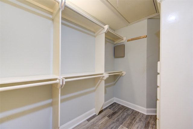 spacious closet featuring hardwood / wood-style floors