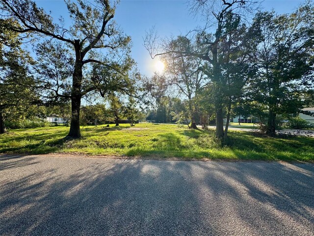 307 Harding Ave, Cleveland, TX 77327 - photo 3