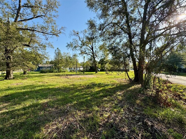 307 Harding Ave, Cleveland, TX 77327 - photo 4