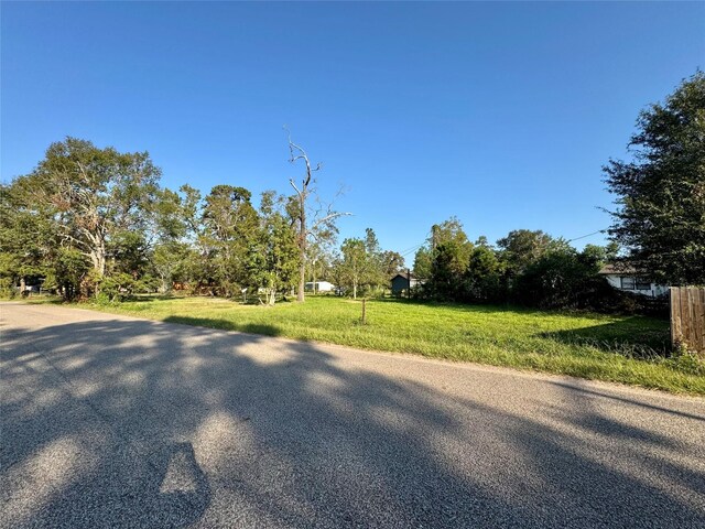 307 Harding Ave, Cleveland, TX 77327 - photo 9