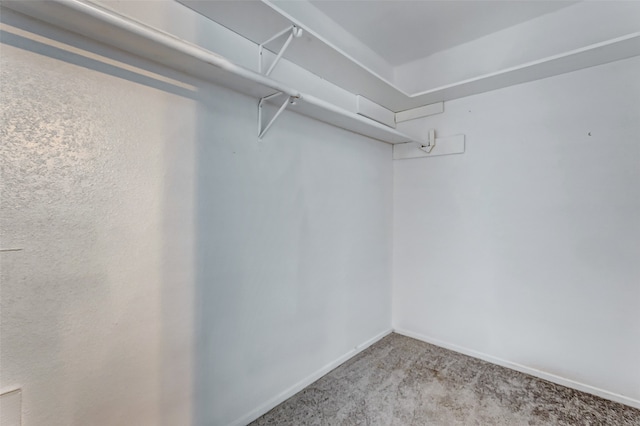 spacious closet featuring light carpet