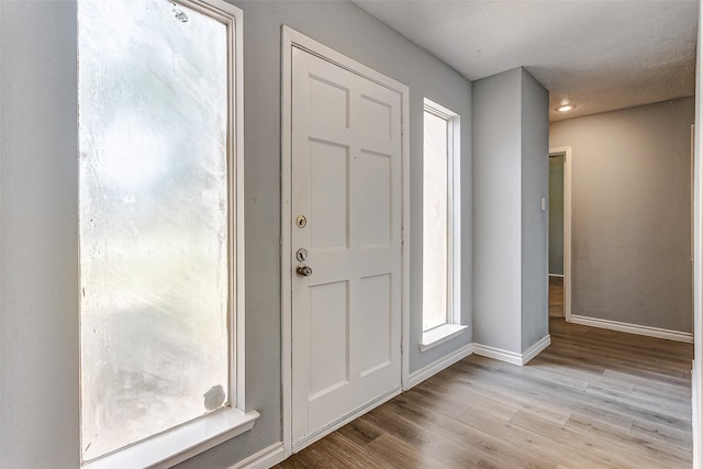 foyer entrance featuring light hardwood / wood-style floors