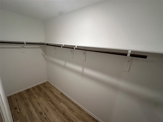 spacious closet featuring wood-type flooring