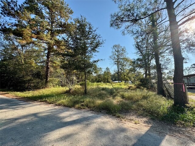 186 County Road 3251 W, Cleveland, TX 77327 - photo 1