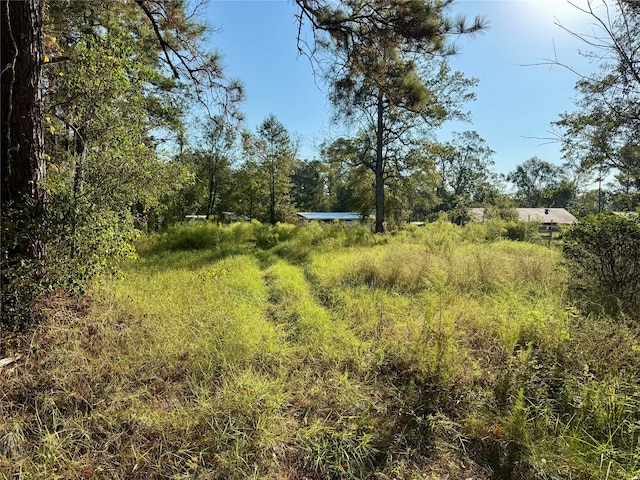 Listing photo 3 for 186 County Road 3251 W, Cleveland TX 77327