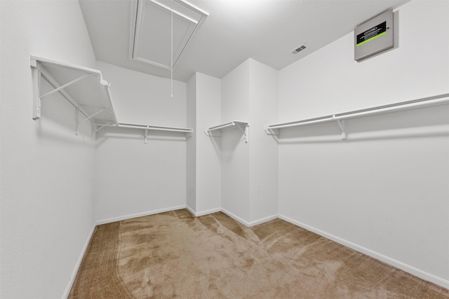 spacious closet with light carpet