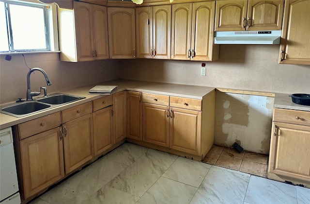 kitchen with sink and white dishwasher