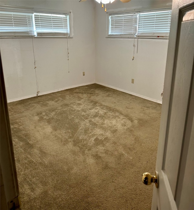 basement with carpet