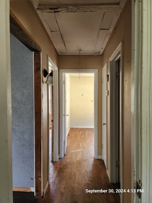 hallway featuring hardwood / wood-style flooring