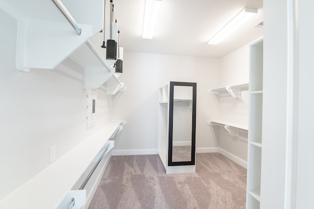 walk in closet featuring light colored carpet