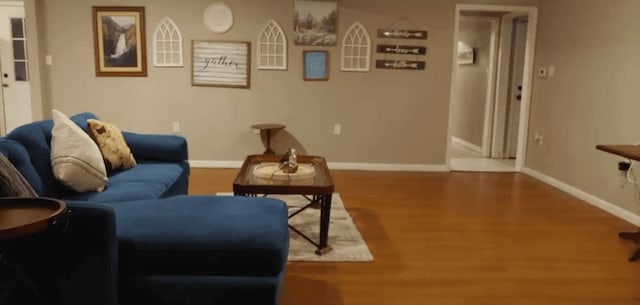 living room featuring hardwood / wood-style flooring