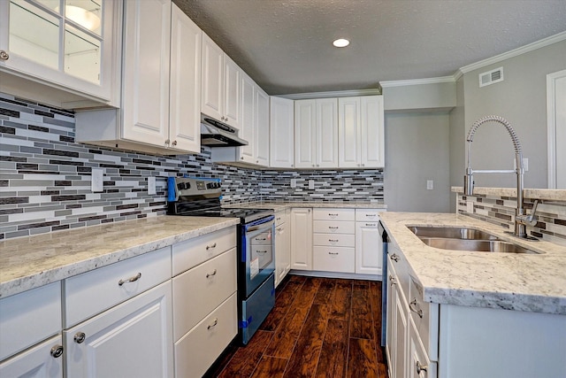 kitchen with white cabinets, crown molding, a sink, stainless steel appliances, and under cabinet range hood