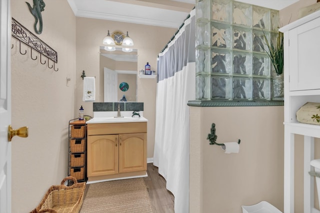 bathroom featuring ornamental molding, vanity, and wood-type flooring