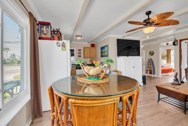 dining room featuring light wood-type flooring, a healthy amount of sunlight, and beam ceiling