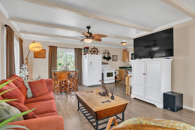 living room featuring ceiling fan, beamed ceiling, light hardwood / wood-style flooring, and ornamental molding