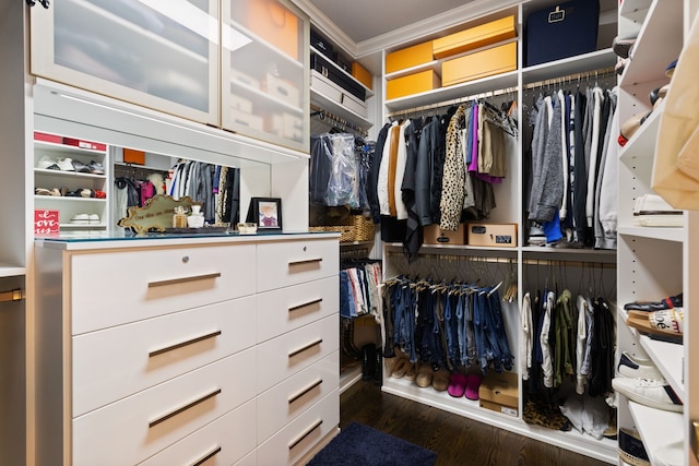 spacious closet featuring dark wood-type flooring