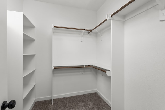 walk in closet featuring dark carpet