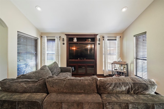 living room featuring lofted ceiling