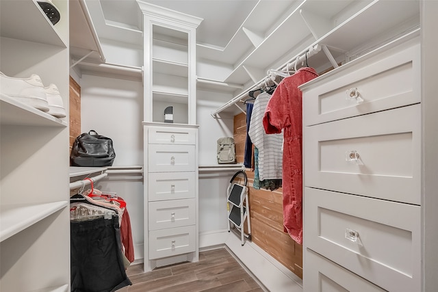 spacious closet featuring hardwood / wood-style flooring