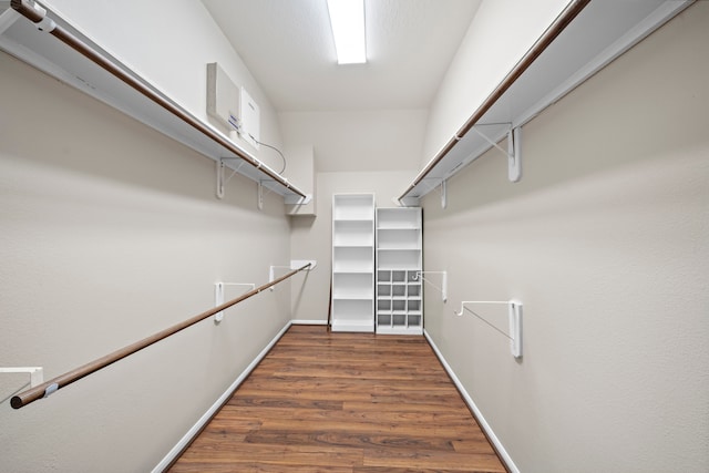 spacious closet featuring dark hardwood / wood-style flooring