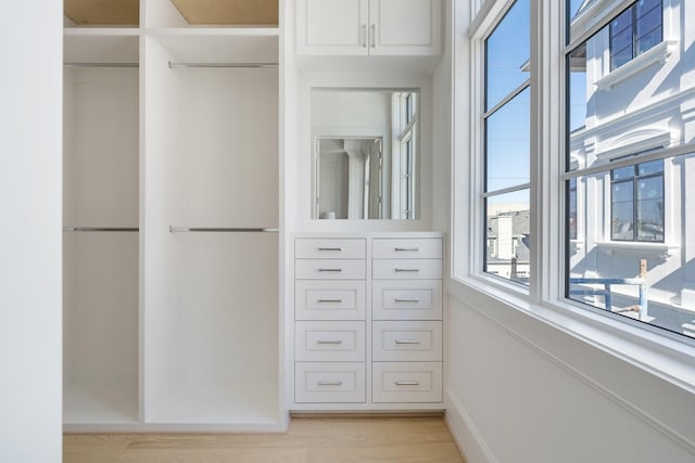 spacious closet with light hardwood / wood-style flooring