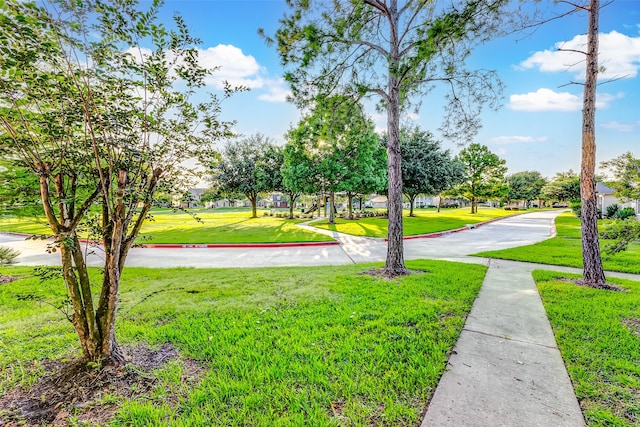 view of home's community with a lawn