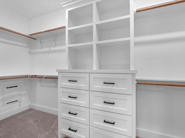 spacious closet with light colored carpet