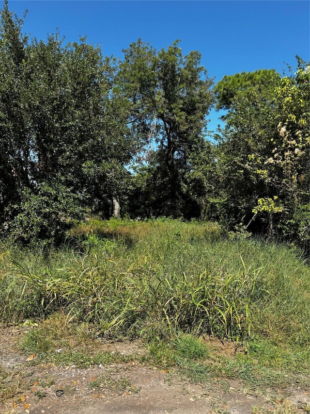 426 Pear St, La Marque, TX 77568