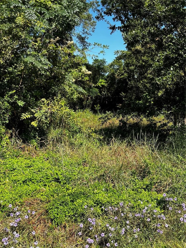 426 Pear St, La Marque, TX 77568