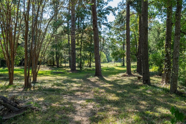 view of local wilderness