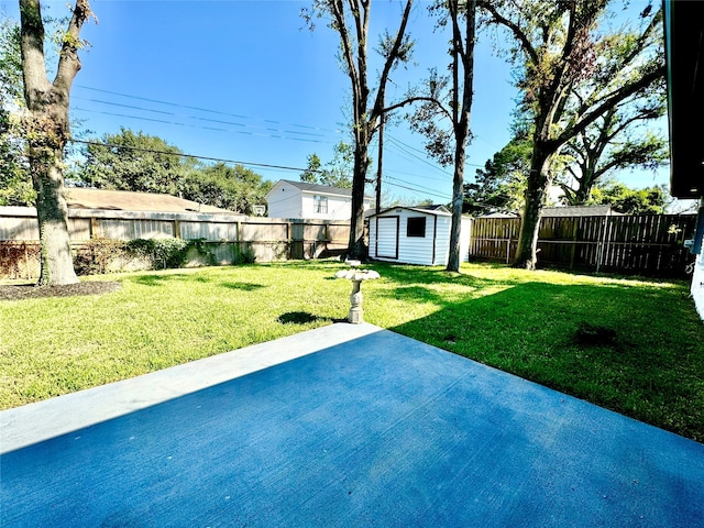 view of yard with a patio area and a storage unit