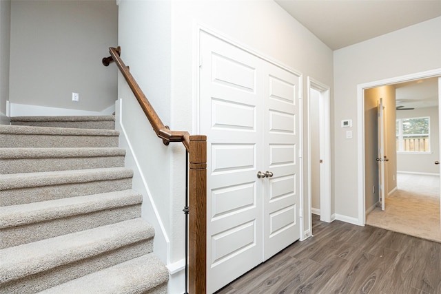 staircase featuring hardwood / wood-style flooring and ceiling fan