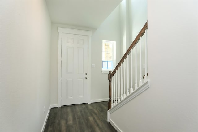 entryway featuring dark wood-type flooring