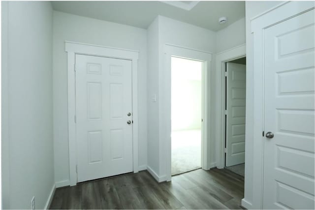 entrance foyer featuring dark hardwood / wood-style floors