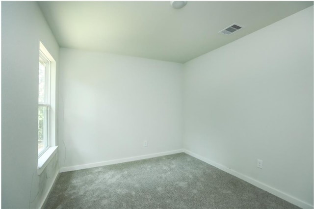 carpeted spare room with a wealth of natural light