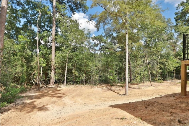 12135 Mustang Ave, Willis, TX 77378 - view of yard