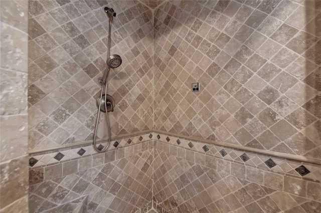 interior details featuring a tile shower