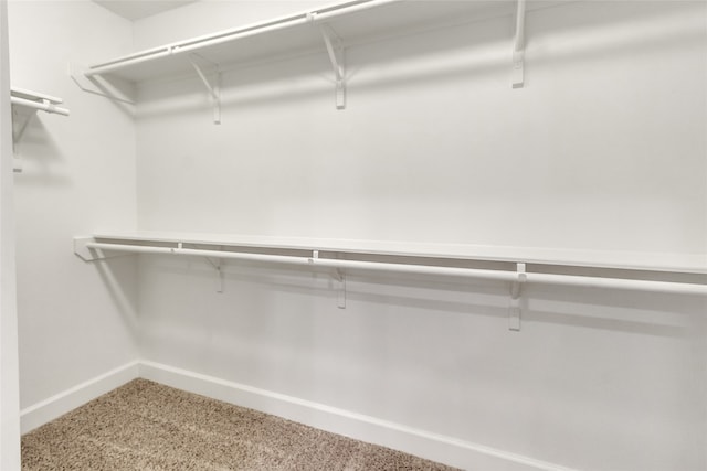 walk in closet featuring carpet flooring