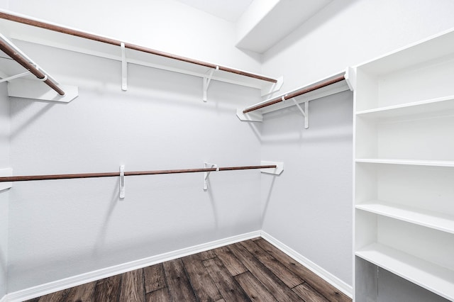 spacious closet featuring hardwood / wood-style floors