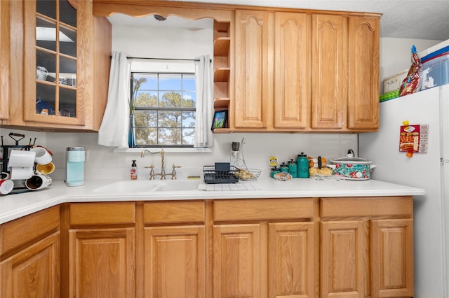 kitchen featuring light countertops, a sink, and glass insert cabinets
