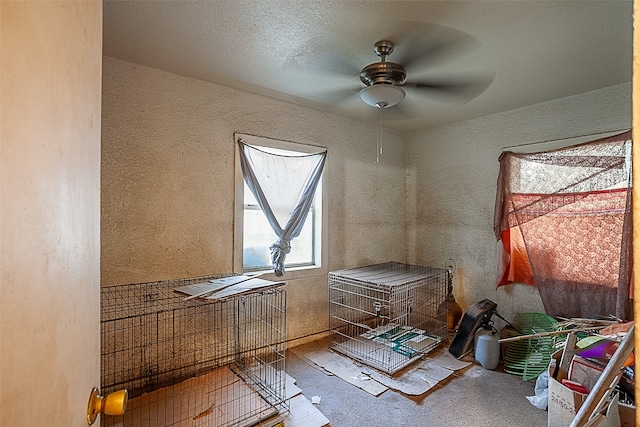 misc room with ceiling fan