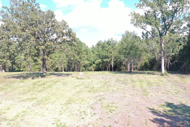 Listing photo 2 for TBD Fm 356, Onalaska TX 77360